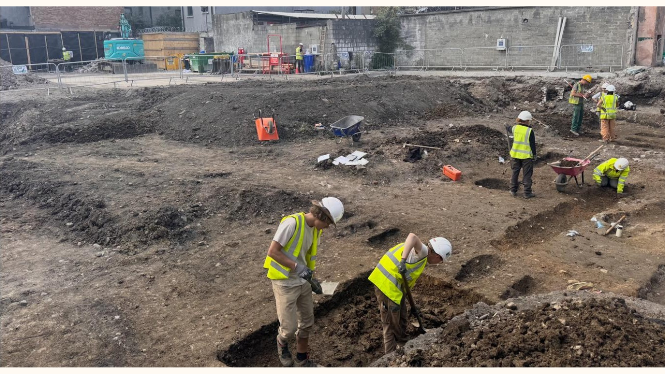 Molyneux Construction 5