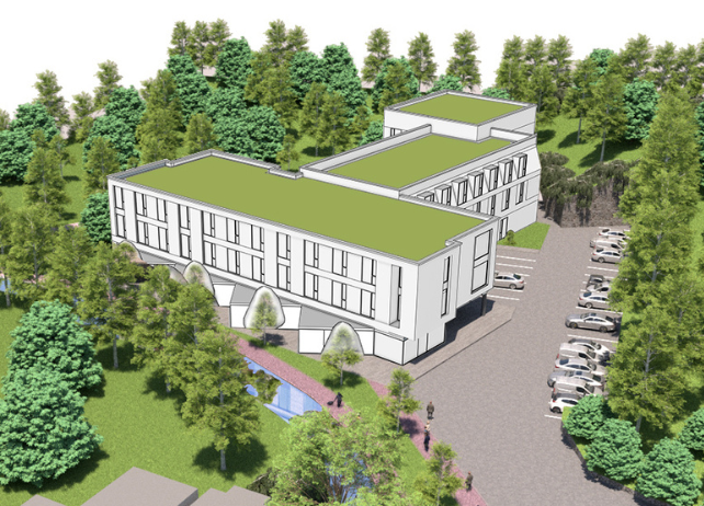Loughlinstown early image